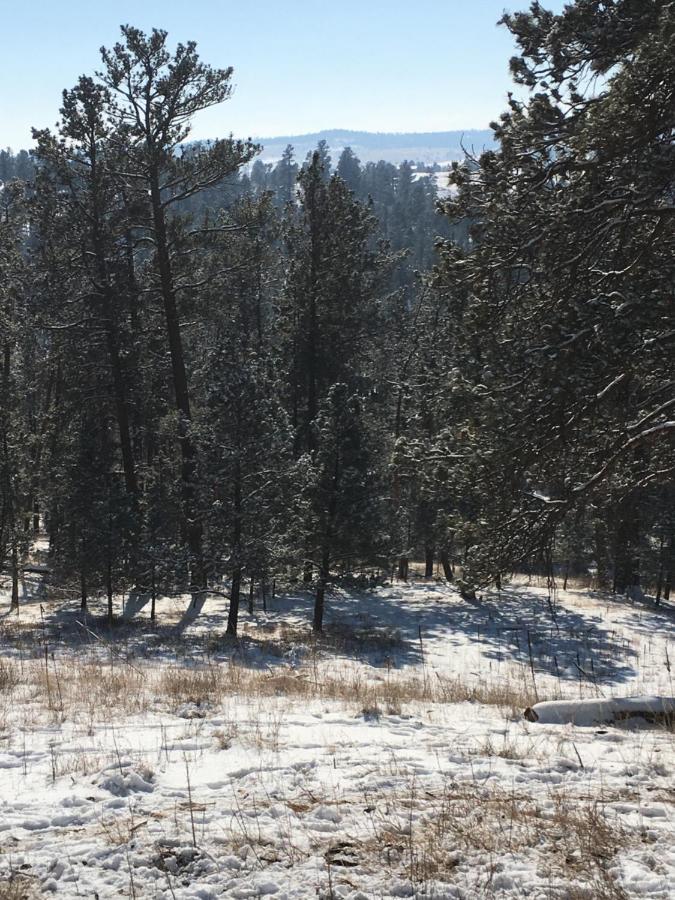 Priceless Black Hills View Rapid City Buitenkant foto