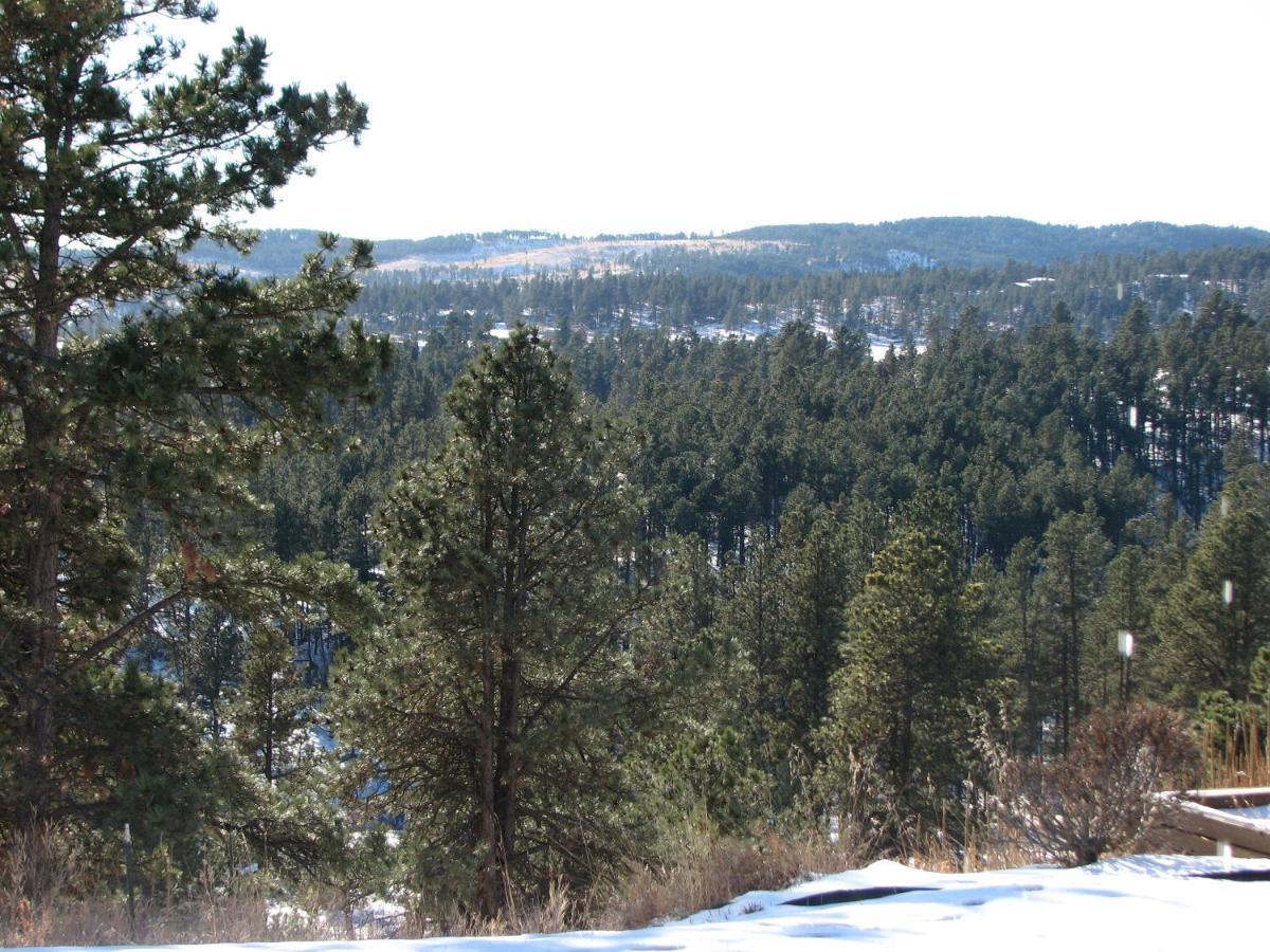 Priceless Black Hills View Rapid City Buitenkant foto
